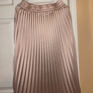 Francesca’s Pleated Midi Skirt